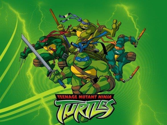 Turtles Turtles